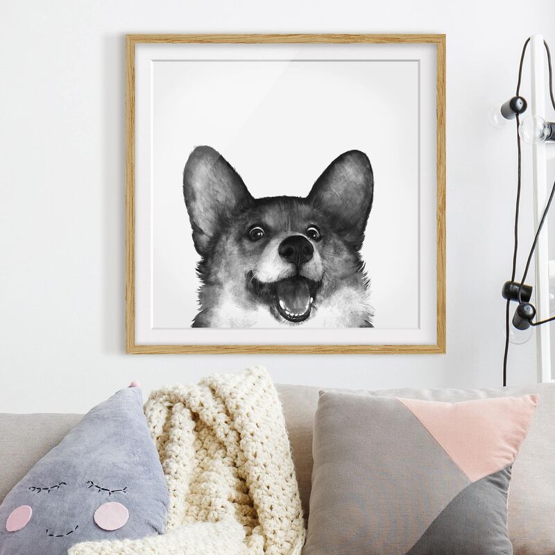 

Póster enmarcado - Illustrazione Cane Corgi Bianco Nero Pittura Dimensión LxA: 70cm x 70cm, Marco: Roble