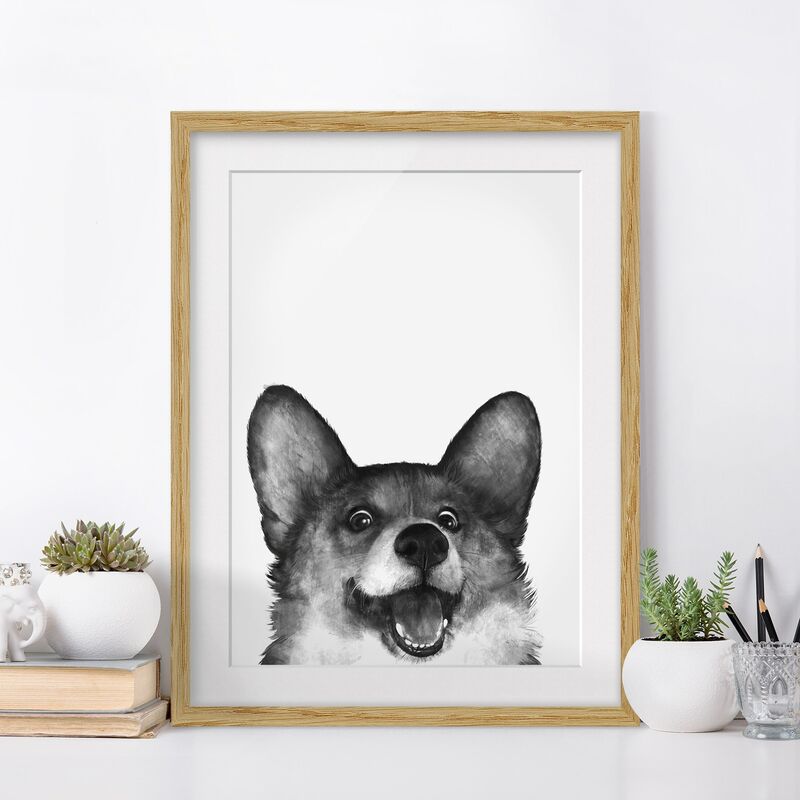 

Póster enmarcado - Illustrazione Cane Corgi Bianco Nero Pittura Dimensión LxA: 70cm x 50cm, Marco: Roble