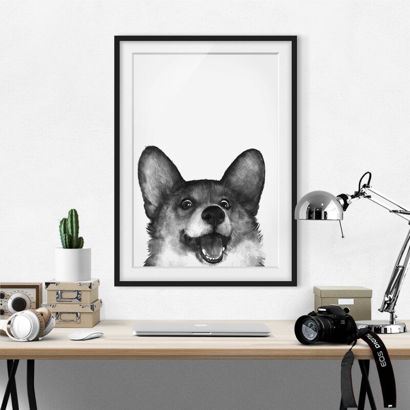 

Póster enmarcado - Illustrazione Cane Corgi Bianco Nero Pittura Dimensión LxA: 24cm x 18cm, Marco: Negro