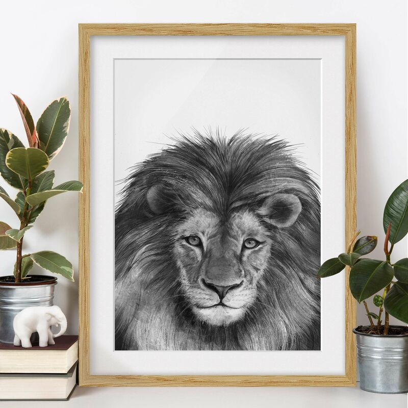 

Póster enmarcado - Illustrazione del leone Monochrome Pittura Dimensión LxA: 100cm x 70cm, Marco: Roble