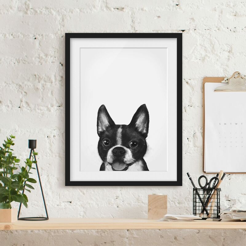 

Póster enmarcado - Illustrazione Dog Boston Monochrome Pittura Dimensión LxA: 70cm x 50cm, Marco: Negro