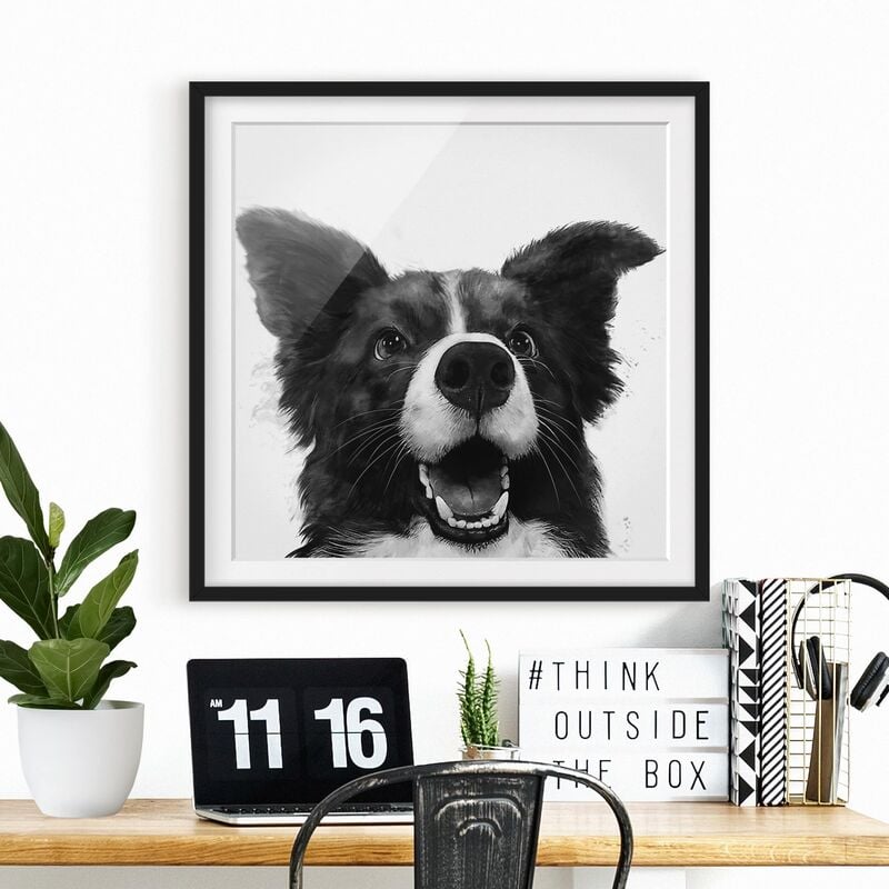 

Póster enmarcado - Illustrazione pittura Cane Border Collie Bianco e nero Dimensión LxA: 30cm x 30cm, Marco: Negro