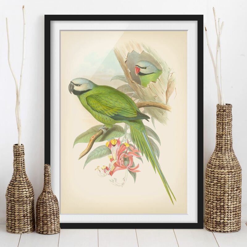 

Póster enmarcado - Illustrazione Vintage Tropical Birds II Dimensión LxA: 100cm x 70cm, Marco: Negro