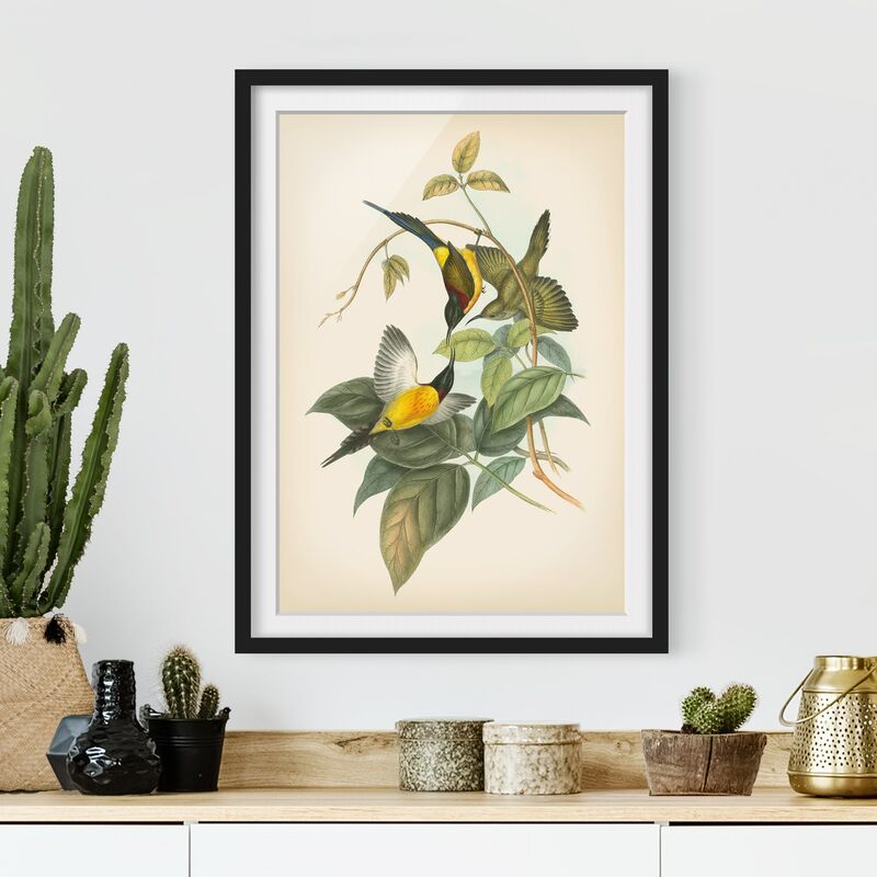 

Póster enmarcado - Illustrazione Vintage Tropical Birds IV Dimensión LxA: 100cm x 70cm, Marco: Negro