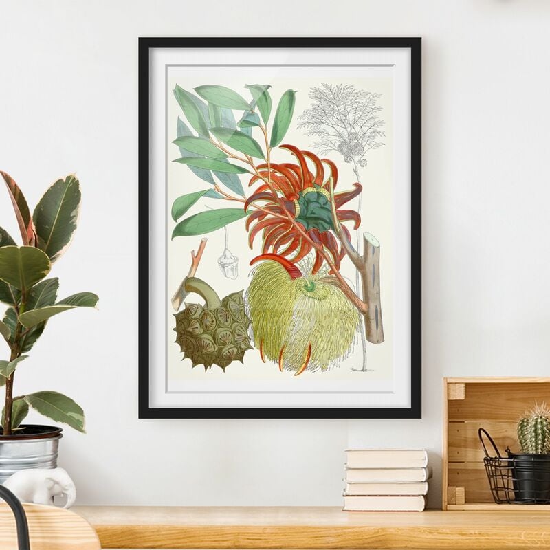 

Póster enmarcado - Illustrazione Vintage Tropical Flowers II Dimensión LxA: 70cm x 50cm, Marco: Negro