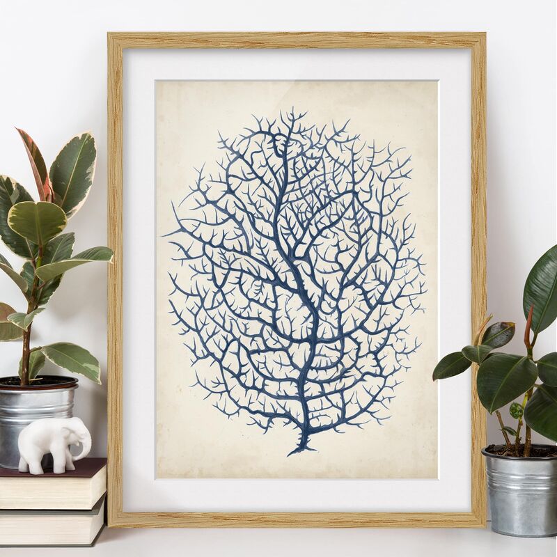 

Póster enmarcado - Indigo Coral I Dimensión LxA: 40cm x 30cm, Marco: Roble