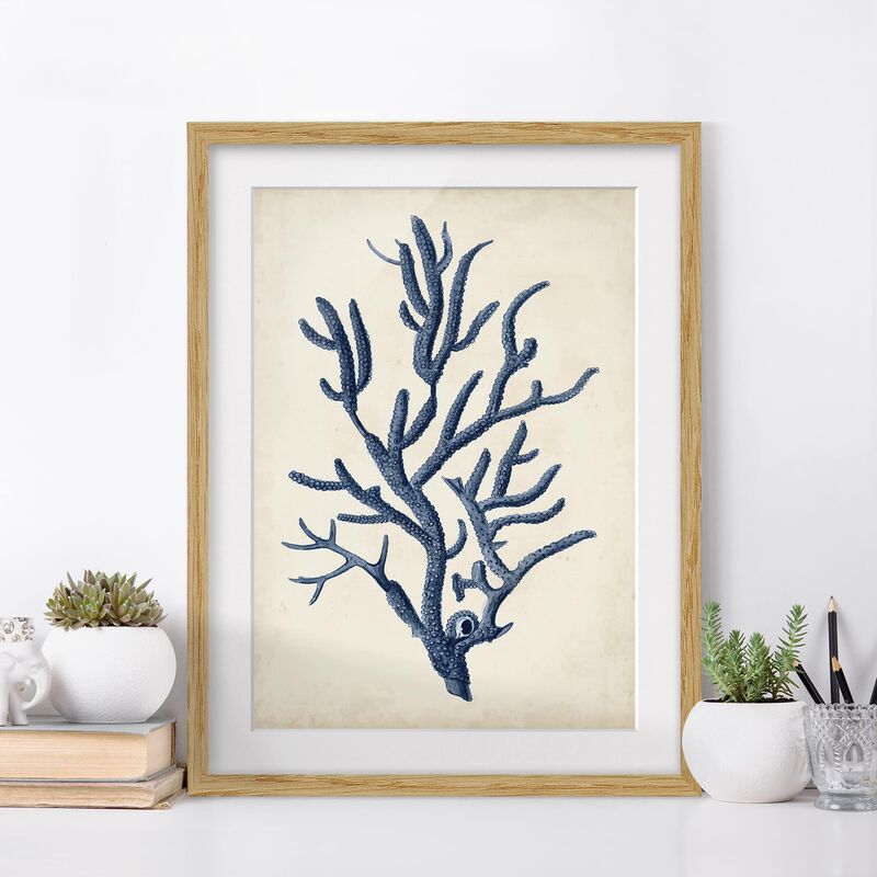 

Póster enmarcado - Indigo Coral Ii Dimensión LxA: 24cm x 18cm, Marco: Roble