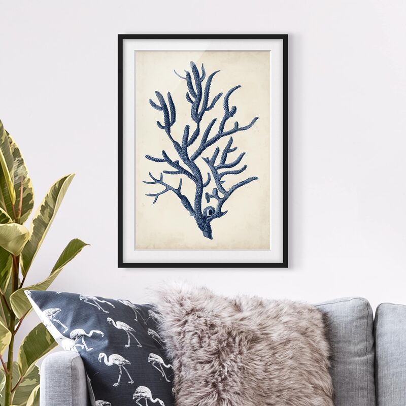 

Póster enmarcado - Indigo Coral Ii Dimensión LxA: 24cm x 18cm, Marco: Negro