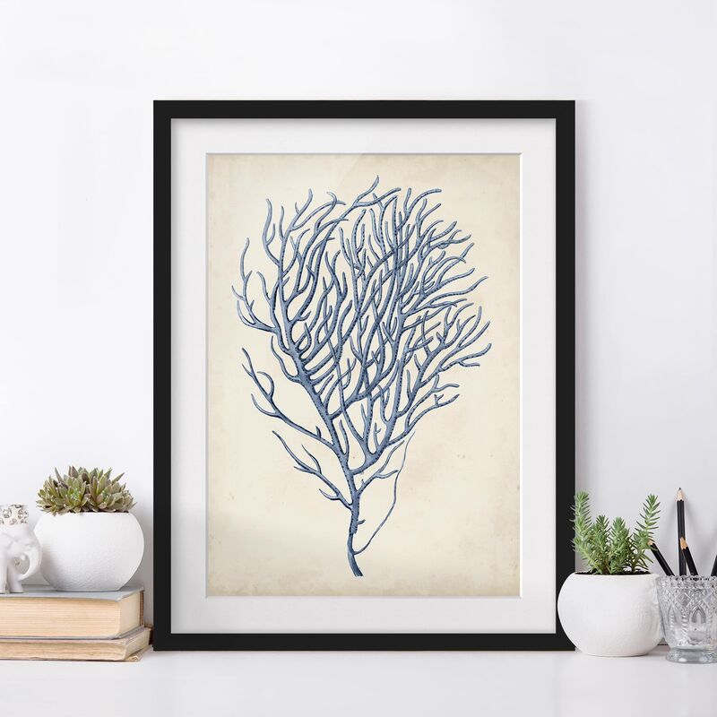 

Póster enmarcado - Indigo Coral Iii Dimensión LxA: 24cm x 18cm, Marco: Negro