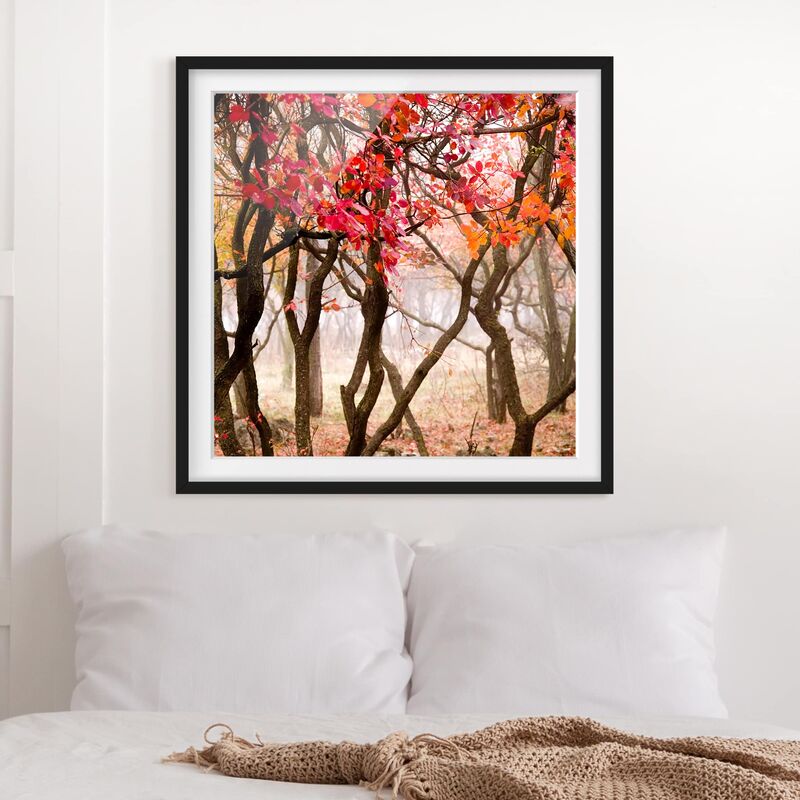 

Póster enmarcado - Japan In Autumn Dimensión LxA: 30cm x 30cm, Marco: Negro