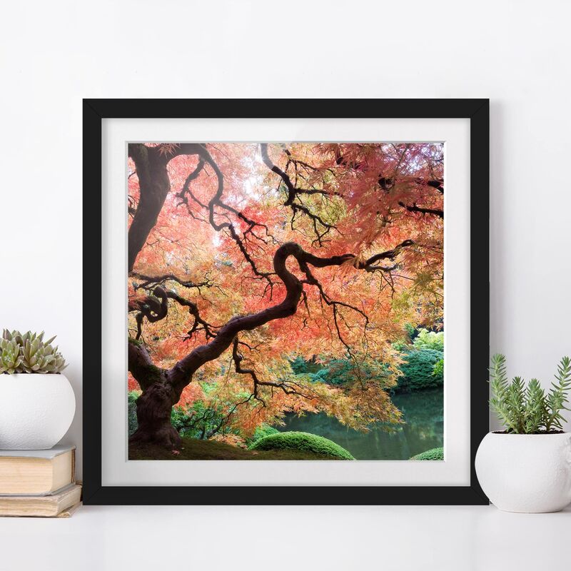 

Póster enmarcado - Japanese Garden Dimensión LxA: 30cm x 30cm, Marco: Negro