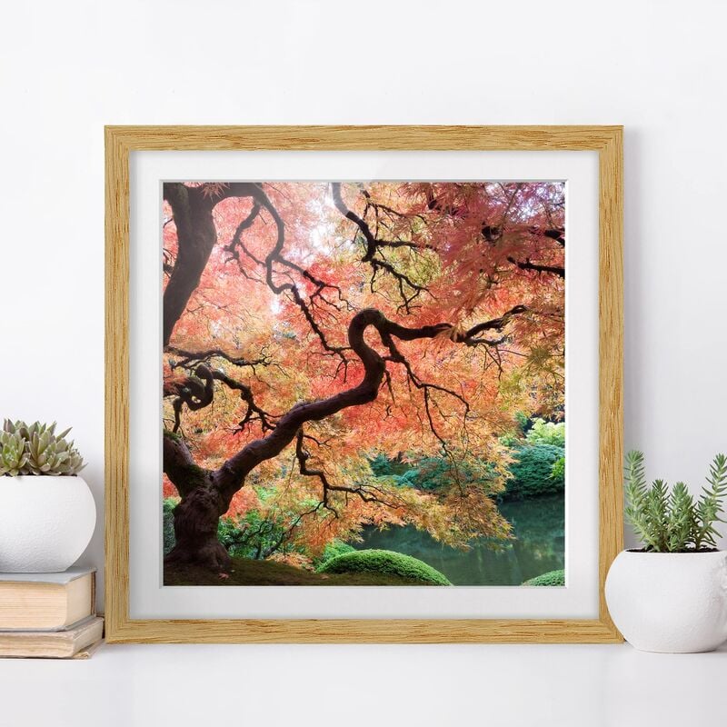 

Póster enmarcado - Japanese Garden Dimensión LxA: 70cm x 70cm, Marco: Roble