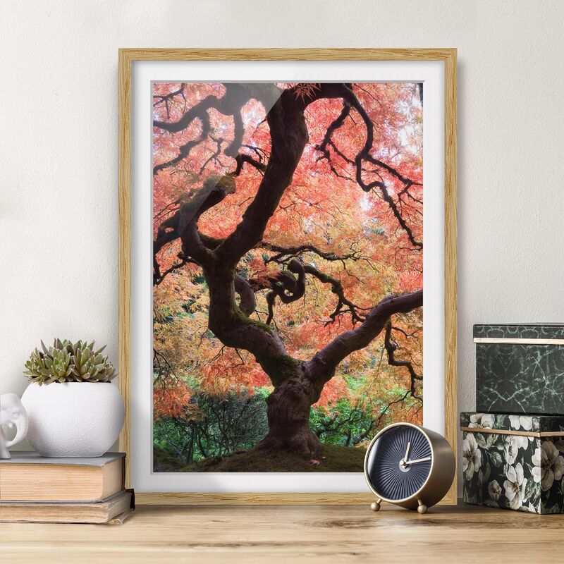

Póster enmarcado - Japanese Garden Dimensión LxA: 24cm x 18cm, Marco: Roble