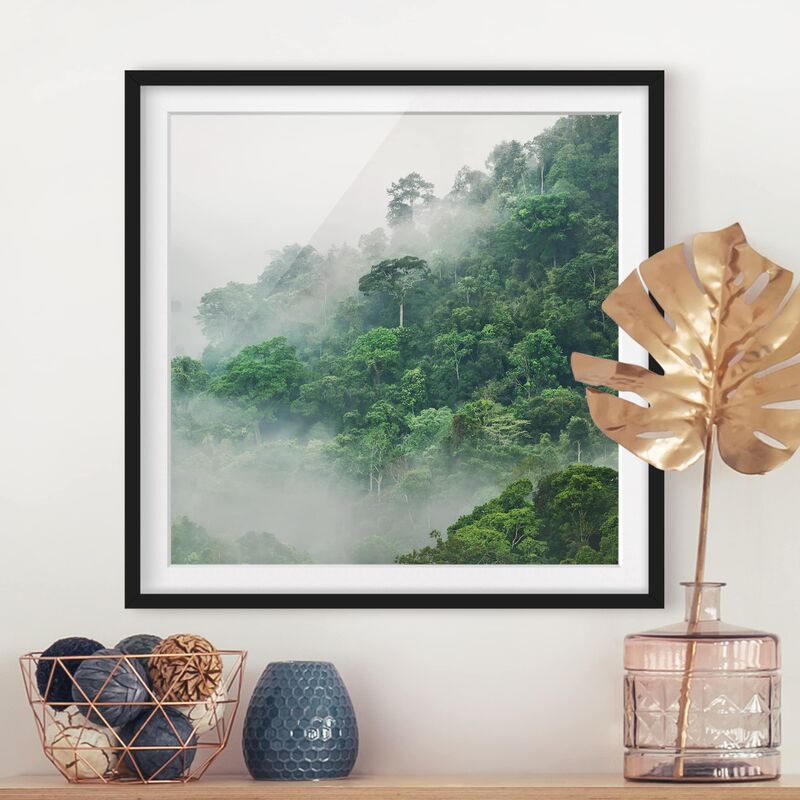 

Póster enmarcado - Jungle In The Fog Dimensión LxA: 30cm x 30cm, Marco: Negro