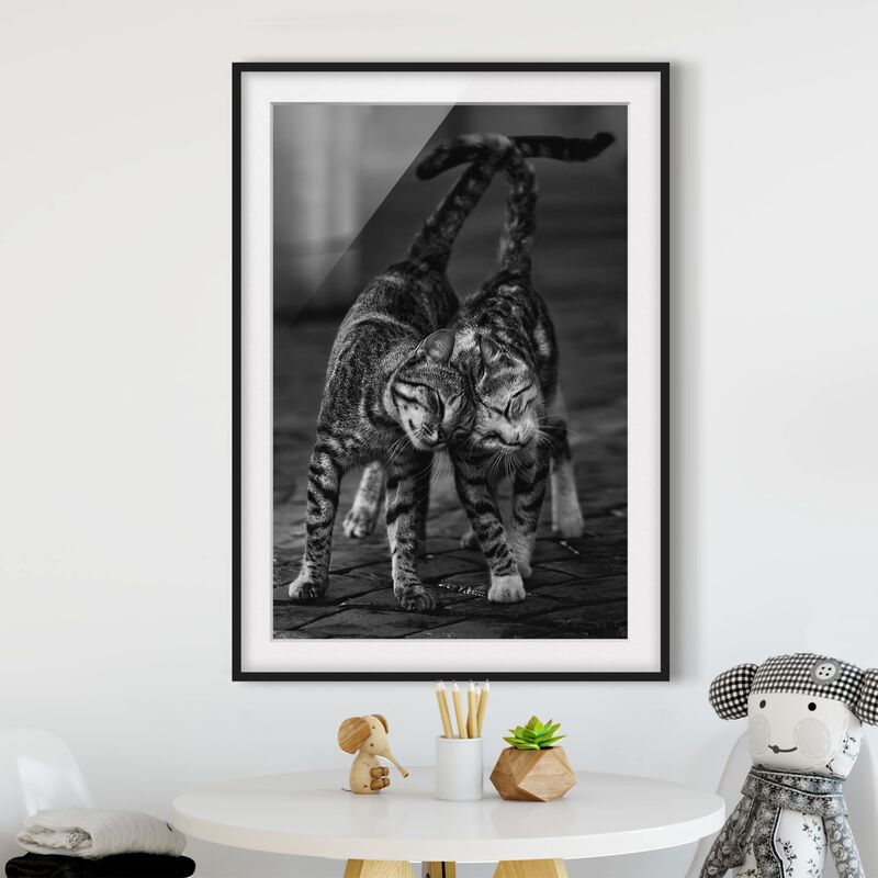 

Póster enmarcado - kitten Amicizia Dimensión LxA: 40cm x 30cm, Marco: Negro