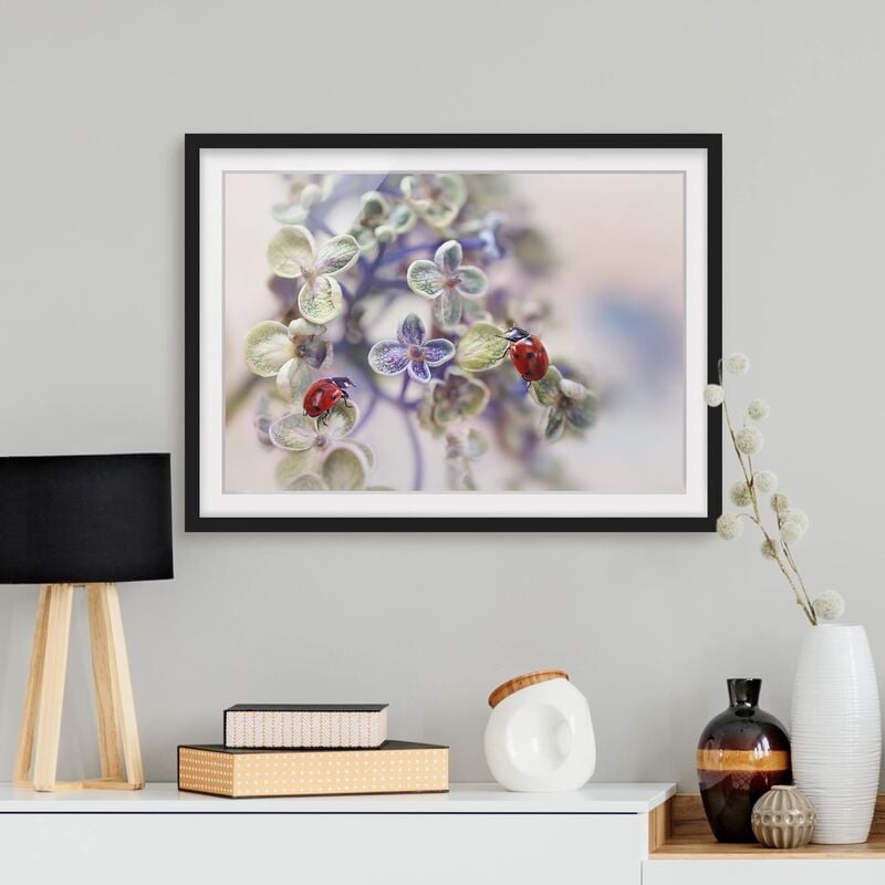 

Póster enmarcado - Ladybug In The Garden Dimensión LxA: 50cm x 70cm, Marco: Negro