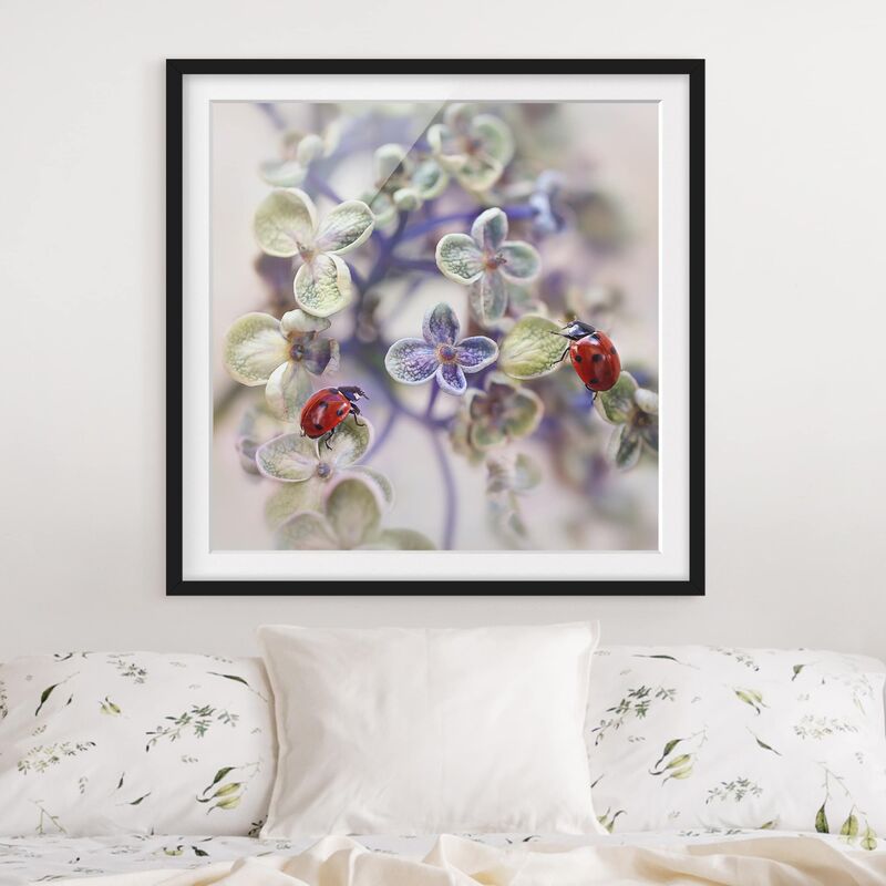 

Póster enmarcado - Ladybug In The Garden Dimensión LxA: 50cm x 50cm, Marco: Negro