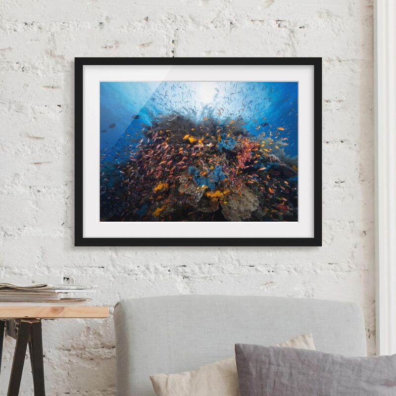 

Póster enmarcado - Lagoon With Fish Dimensión LxA: 70cm x 100cm, Marco: Negro