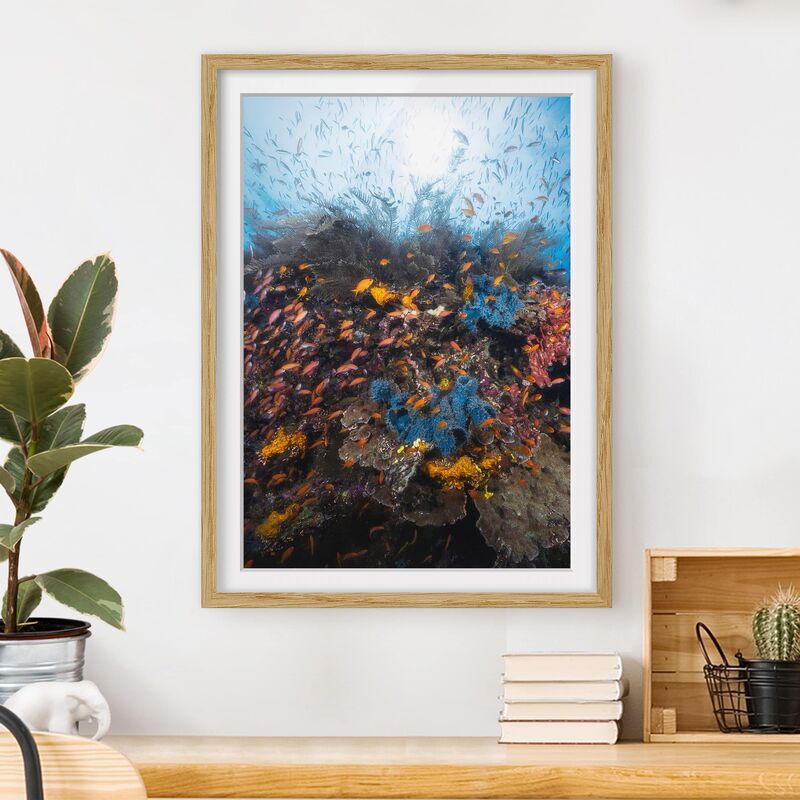

Póster enmarcado - Lagoon With Fish Dimensión LxA: 40cm x 30cm, Marco: Roble