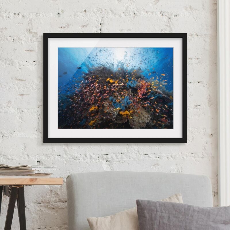 

Póster enmarcado - Lagoon With Fish Dimensión LxA: 40cm x 55cm, Marco: Negro