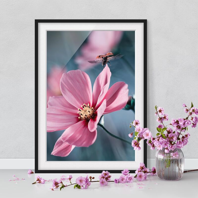 

Póster enmarcado - Ladybug On Startup Dimensión LxA: 70cm x 50cm, Marco: Negro