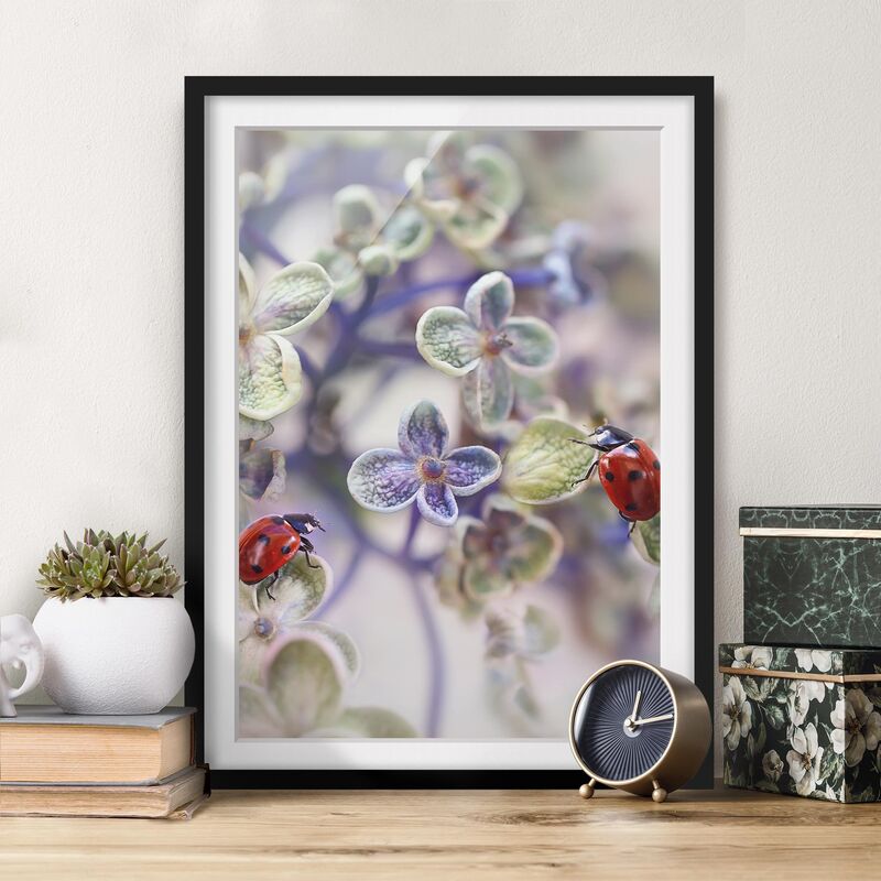 

Póster enmarcado - Ladybug In The Garden Dimensión LxA: 70cm x 50cm, Marco: Negro