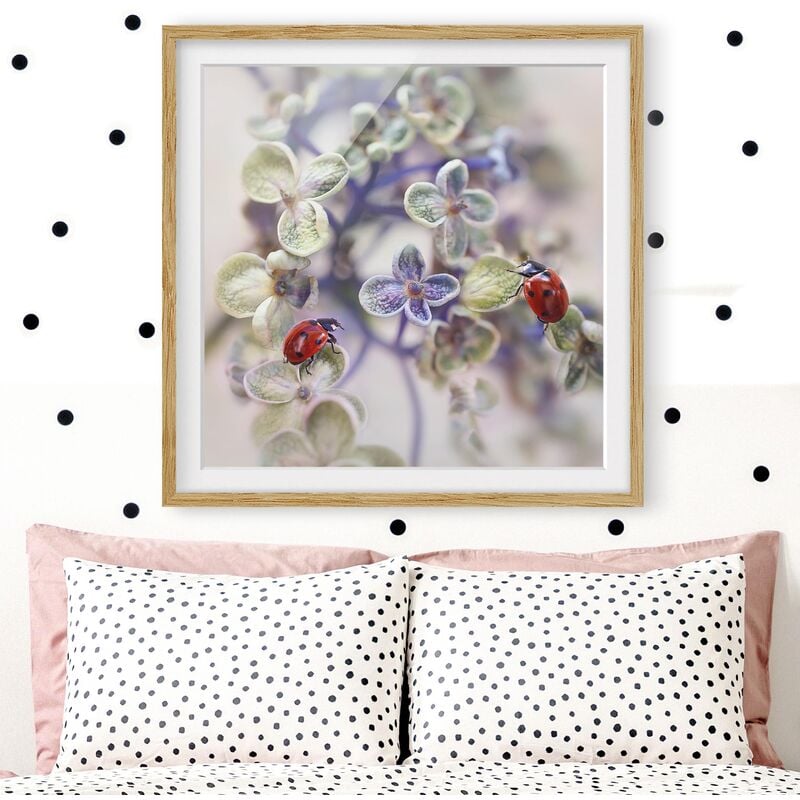 

Póster enmarcado - Ladybug In The Garden Dimensión LxA: 50cm x 50cm, Marco: Roble