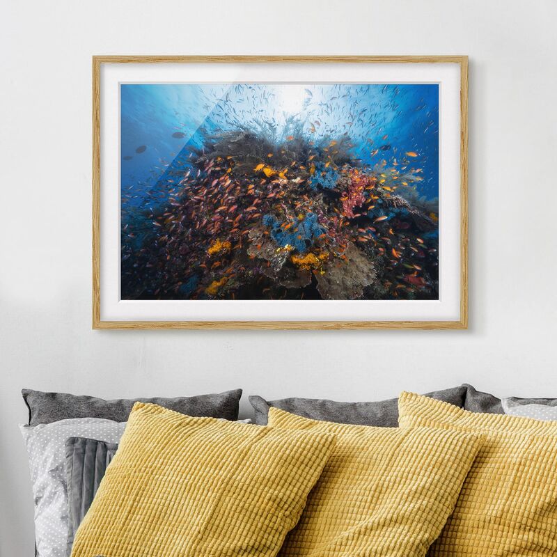 

Póster enmarcado - Lagoon With Fish Dimensión LxA: 18cm x 24cm, Marco: Roble