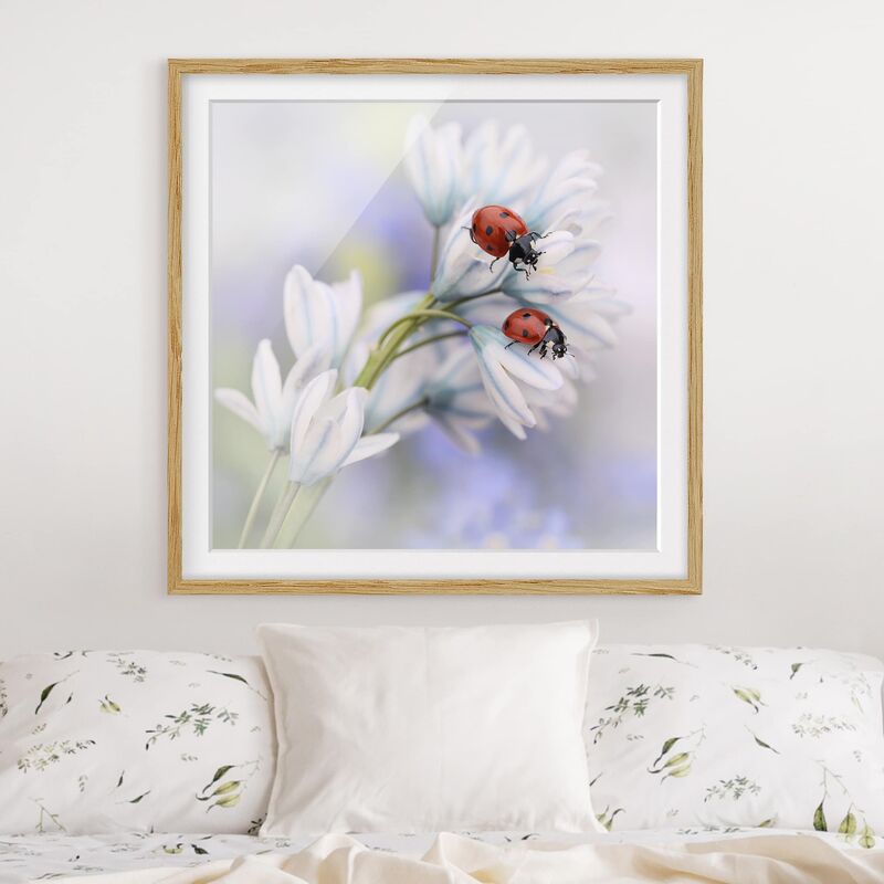 

Póster enmarcado - Ladybugs Couple Dimensión LxA: 20cm x 20cm, Marco: Roble
