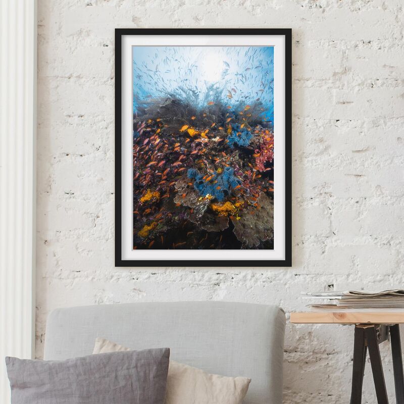 

Póster enmarcado - Lagoon With Fish Dimensión LxA: 40cm x 30cm, Marco: Negro