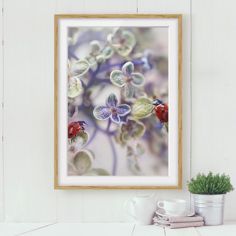 

Póster enmarcado - Ladybug In The Garden Dimensión LxA: 100cm x 70cm, Marco: Roble