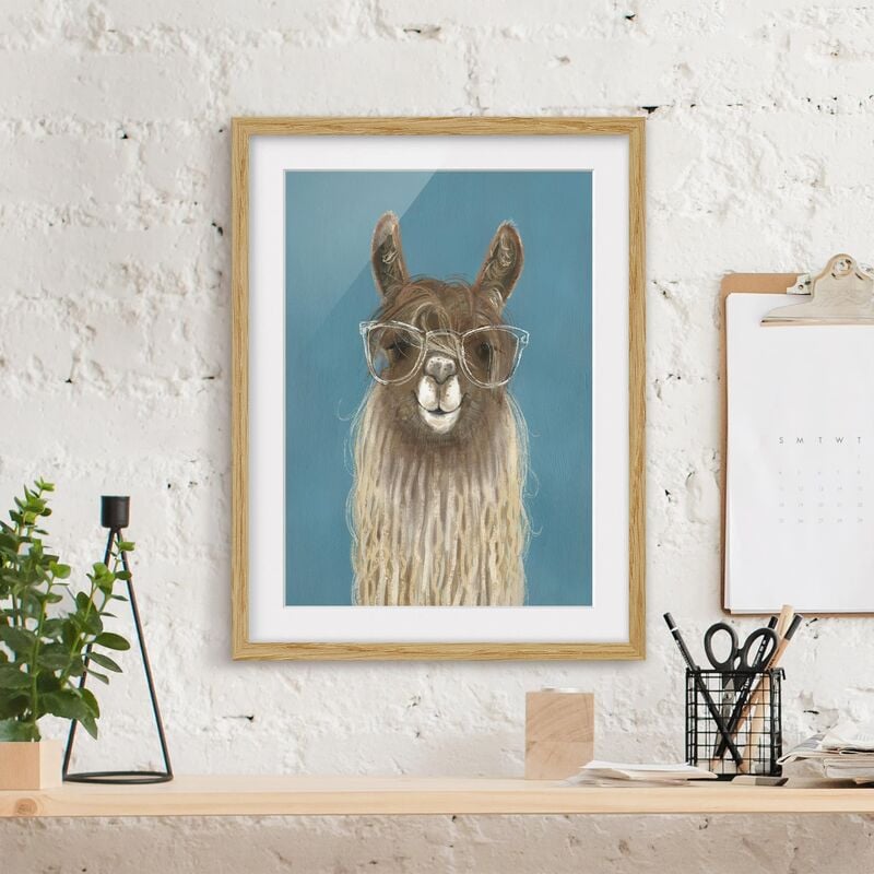 

Póster enmarcado - Lama Con Gli Occhiali Iii Dimensión LxA: 40cm x 30cm, Marco: Roble