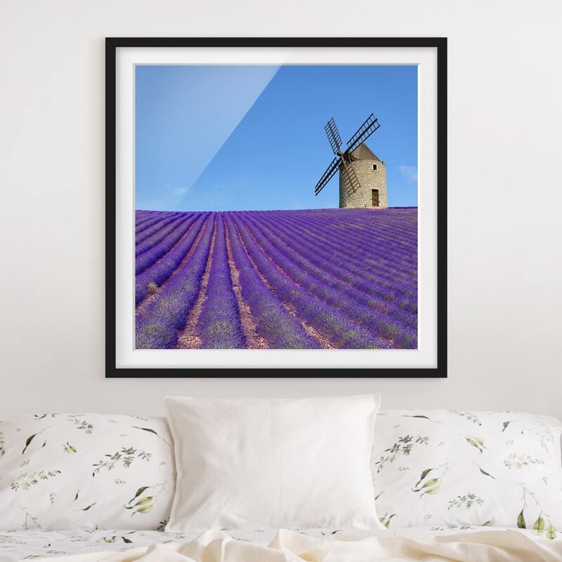 

Póster enmarcado - Lavender Fragrance In Provence Dimensión LxA: 20cm x 20cm, Marco: Negro