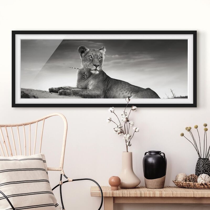 

Póster enmarcado - Leone Di Riposo Dimensión LxA: 20cm x 50cm, Marco: Negro