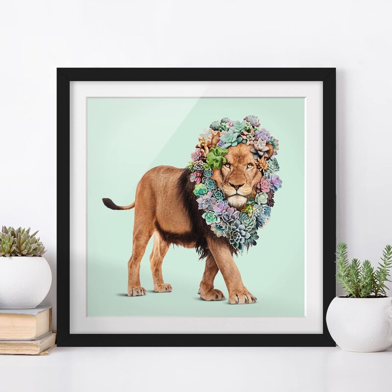

Póster enmarcado - Leone con Succulente Dimensión LxA: 70cm x 70cm, Marco: Negro