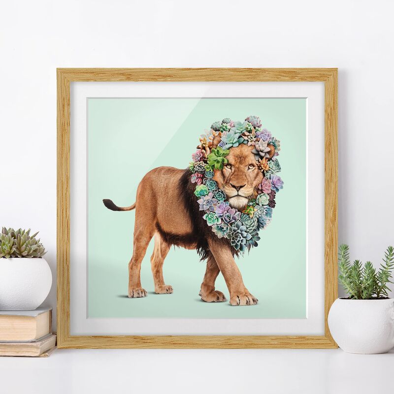 

Póster enmarcado - Leone con Succulente Dimensión LxA: 70cm x 70cm, Marco: Roble