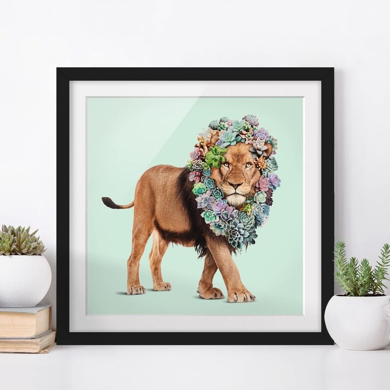 

Póster enmarcado - Leone con Succulente Dimensión LxA: 50cm x 50cm, Marco: Negro