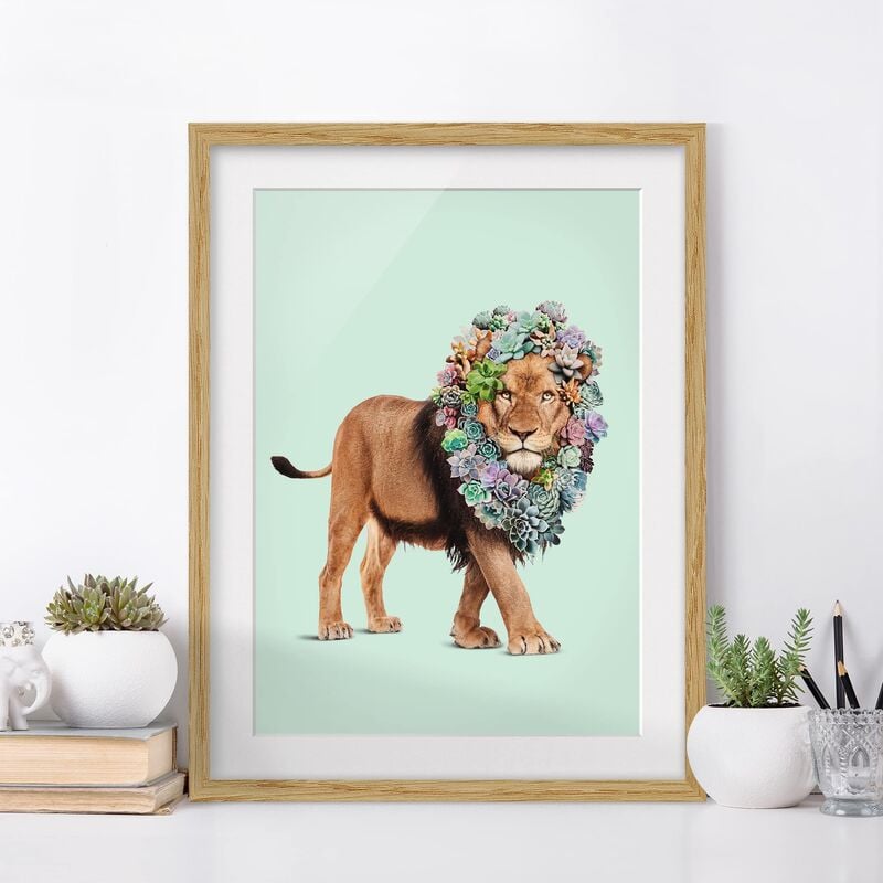 

Póster enmarcado - Leone con Succulente Dimensión LxA: 24cm x 18cm, Marco: Roble