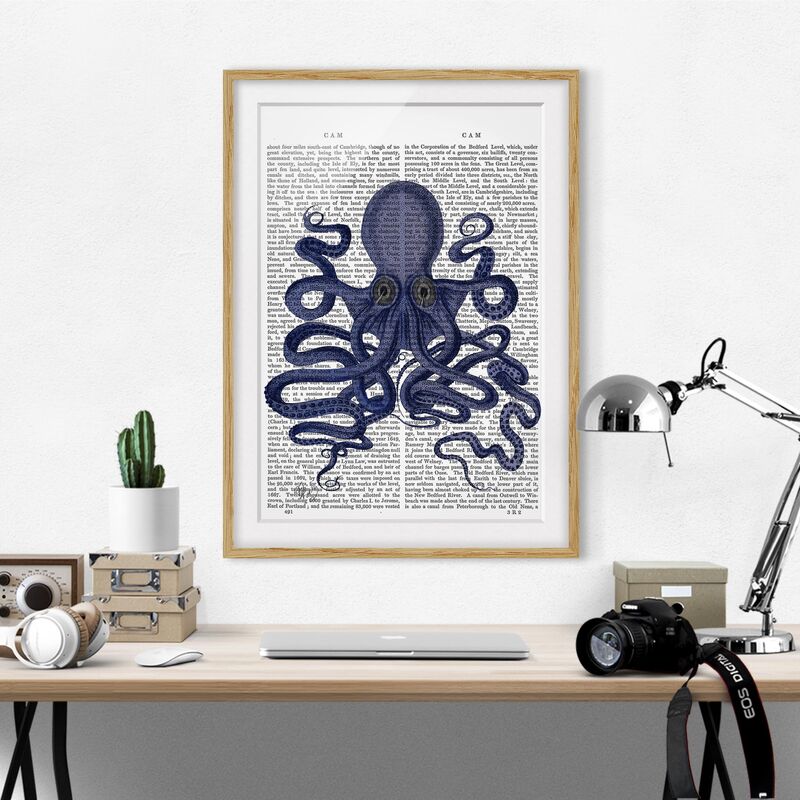 

Póster enmarcado - Lettura Degli Animali - Octopus Dimensión LxA: 24cm x 18cm, Marco: Roble