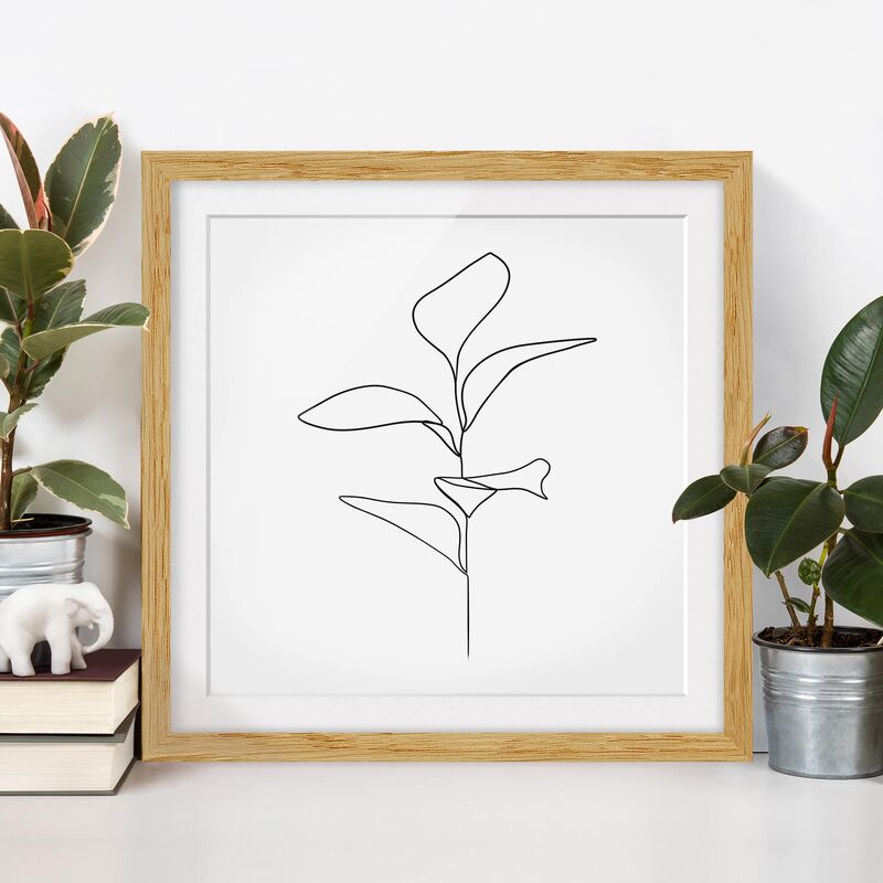 

Póster enmarcado - Line Art foglie delle piante Bianco e nero Dimensión LxA: 50cm x 50cm, Marco: Roble