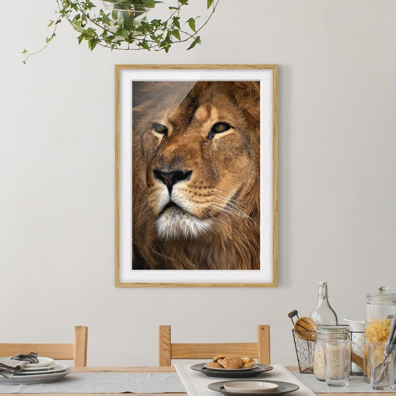 

Póster enmarcado - Lions Look Dimensión LxA: 70cm x 50cm, Marco: Roble