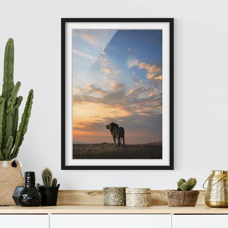 

Póster enmarcado - Lion In Sunset Dimensión LxA: 100cm x 70cm, Marco: Negro