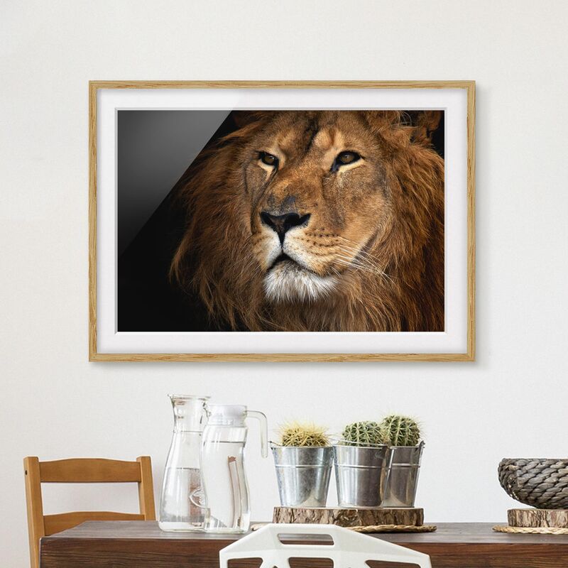 

Póster enmarcado - Lions Look Dimensión LxA: 40cm x 55cm, Marco: Roble