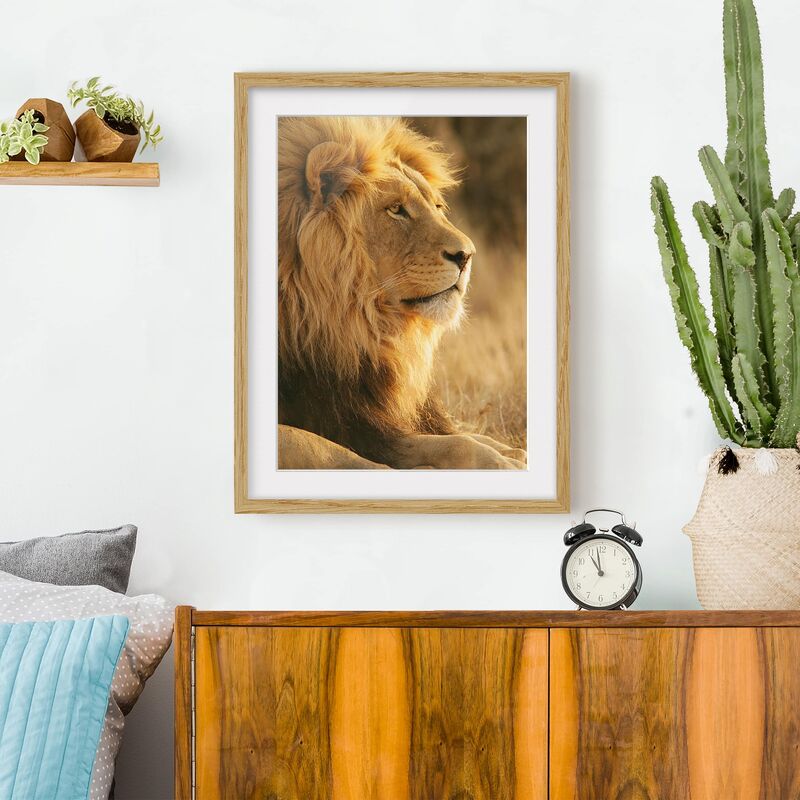 

Póster enmarcado - Lion King Dimensión LxA: 70cm x 50cm, Marco: Roble