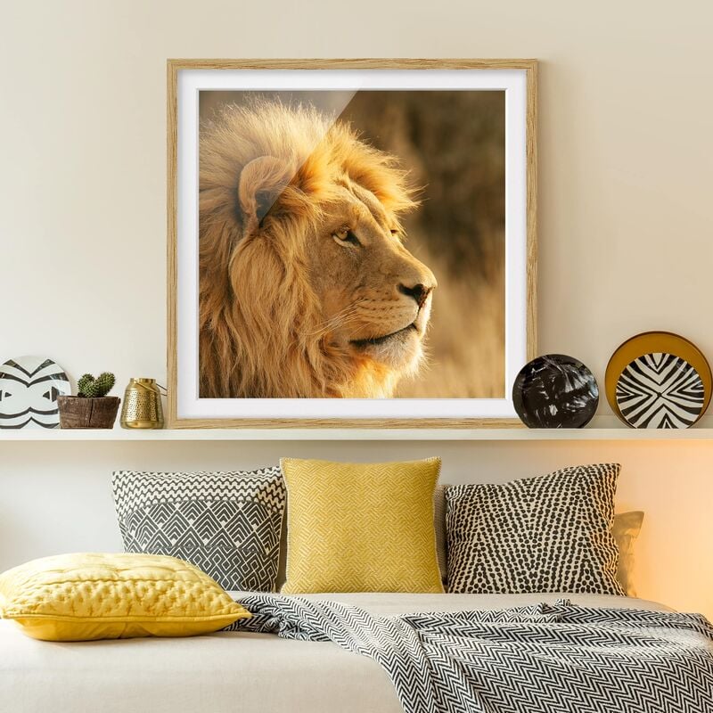 

Póster enmarcado - Lion King Dimensión LxA: 70cm x 70cm, Marco: Roble