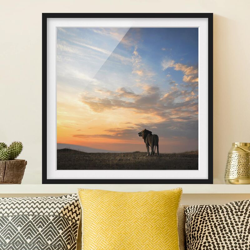 

Póster enmarcado - Lion In Sunset Dimensión LxA: 20cm x 20cm, Marco: Negro