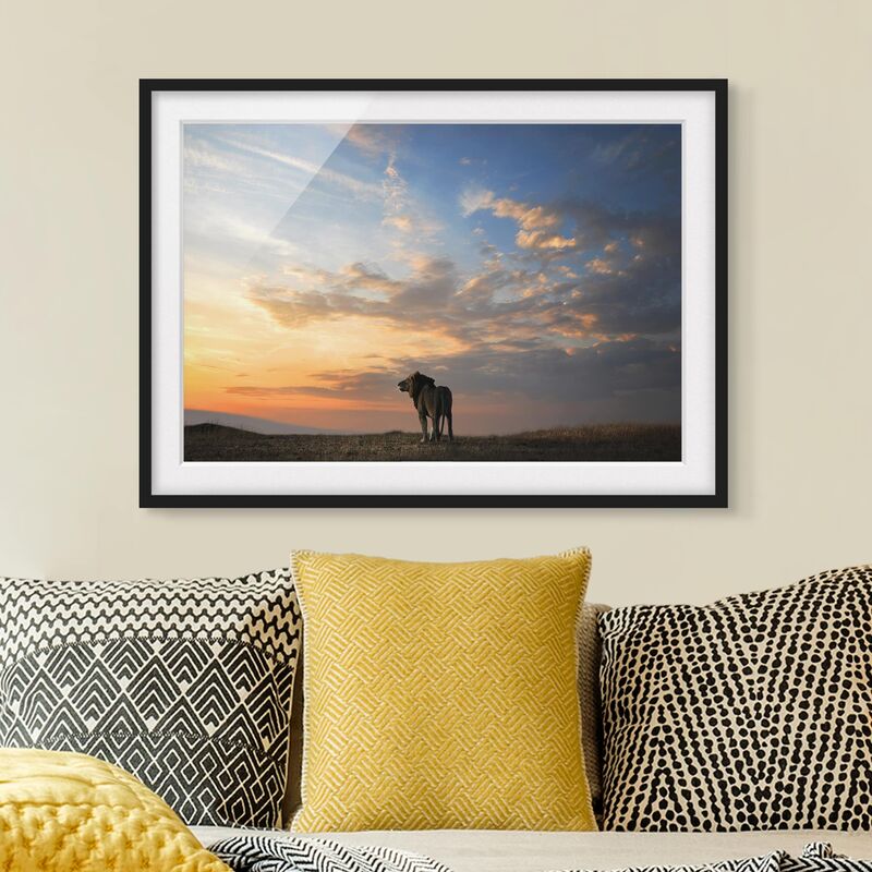 

Póster enmarcado - Lion In Sunset Dimensión LxA: 18cm x 24cm, Marco: Negro