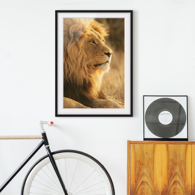 

Póster enmarcado - Lion King Dimensión LxA: 40cm x 30cm, Marco: Negro