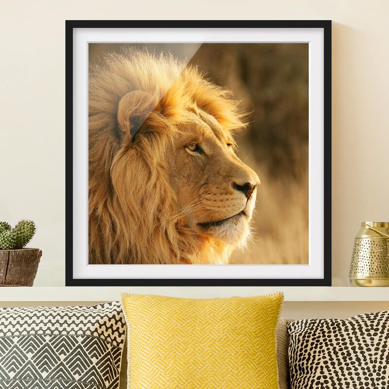 

Póster enmarcado - Lion King Dimensión LxA: 20cm x 20cm, Marco: Negro