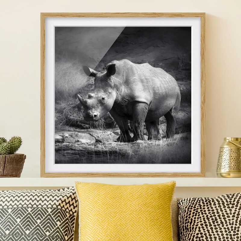 

Póster enmarcado - Lonesome Rhinoceros Dimensión LxA: 30cm x 30cm, Marco: Roble